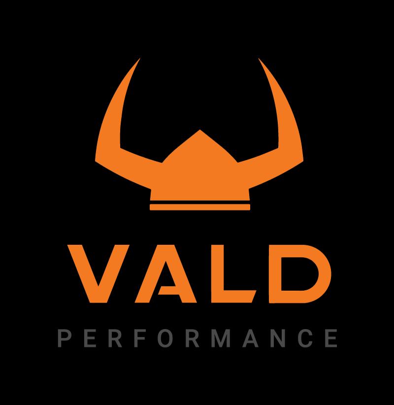 Logo VALD